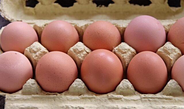 eggs, box, brown, egg box, filled, full, egg crate, chicken eggs, carton, egg carton, nourishment, open, pack design, storage, packaging, wrap up, pack, food, meal, eggs, egg box, egg carton, egg carton, egg carton, egg carton, egg carton