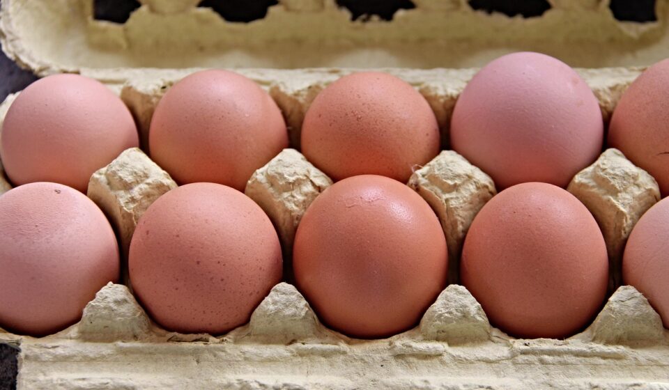eggs, box, brown, egg box, filled, full, egg crate, chicken eggs, carton, egg carton, nourishment, open, pack design, storage, packaging, wrap up, pack, food, meal, eggs, egg box, egg carton, egg carton, egg carton, egg carton, egg carton