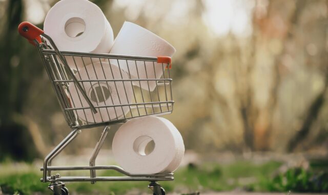 shopping, toilet paper, covid-19, forage, pandemic, panic, stock, hamster shopping, hoard, purchasing, sold out, curfew, hamster purchases, bathroom, health, cleanliness, quarantine, worldwide, coronavirus, corona, fear, hamster buying, virus, shopping venture, shopping, shopping, shopping, shopping, shopping, toilet paper, toilet paper, toilet paper, bathroom