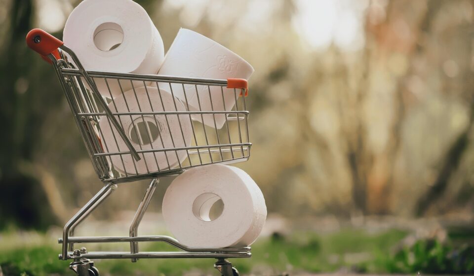 shopping, toilet paper, covid-19, forage, pandemic, panic, stock, hamster shopping, hoard, purchasing, sold out, curfew, hamster purchases, bathroom, health, cleanliness, quarantine, worldwide, coronavirus, corona, fear, hamster buying, virus, shopping venture, shopping, shopping, shopping, shopping, shopping, toilet paper, toilet paper, toilet paper, bathroom
