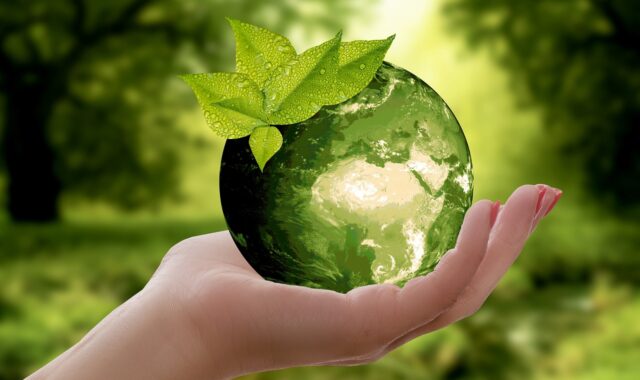 nature, earth, sustainability, leaf, caution, cycle, green, ecology, globe, world, sustainable, environment, protect, recycling, hand, keep, photomontage, composing, composition, fantasy, imagination, earth, earth, earth, sustainability, sustainability, sustainability, sustainability, sustainability, ecology, sustainable, recycling