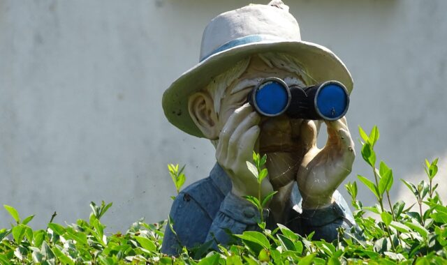 garden, hedge, deco, nature, statue, binocular, show, bush, hide