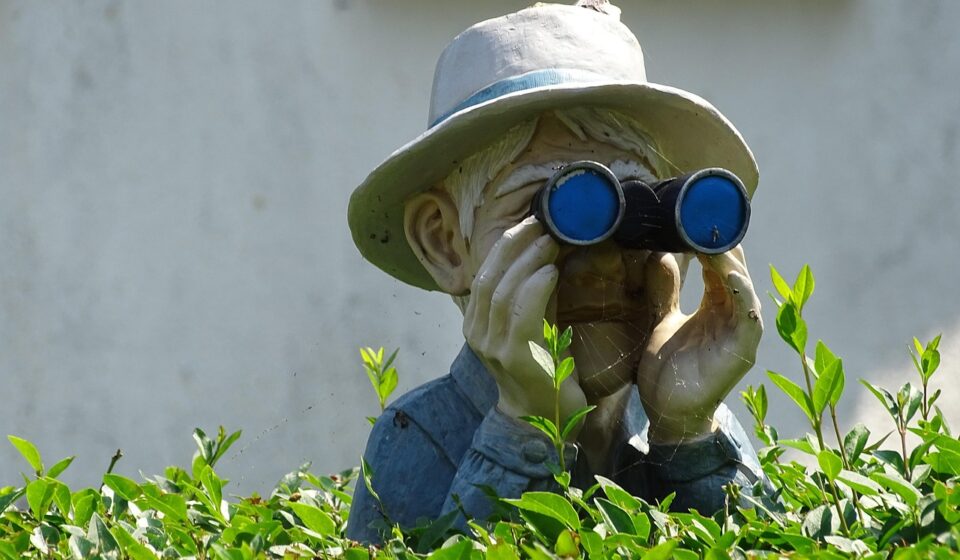 garden, hedge, deco, nature, statue, binocular, show, bush, hide