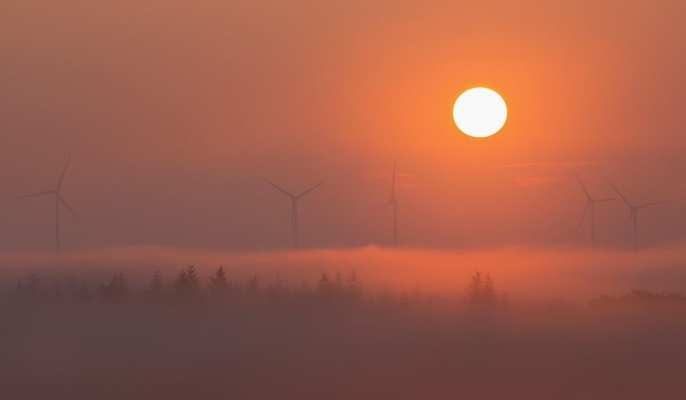 windmill, energy, wind power, environmental engineering, sun, fog, nature, forest, in the morning
