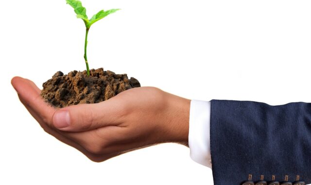germ, plant, seedling, life, nature, earth, mother earth, mother bottom, human, hand, green, developing germs, sprout, young, grow, cotyledons, healthy, drive out, germinate, seeds, growth, man and nature, agriculture, bio, vegan, vegetarian, sowing, scion, fresher shoot, natural reserve, nourishment, hope, climate protection, hunger, famine, hand stop, protection, rearing, farmers, drove, leaves, garden, cultivation, line, harmony, business, men's suit, seedling, seedling, seedling, earth, earth, sprout, sprout, sprout, grow, grow, hope, hope, hope, hope, hope