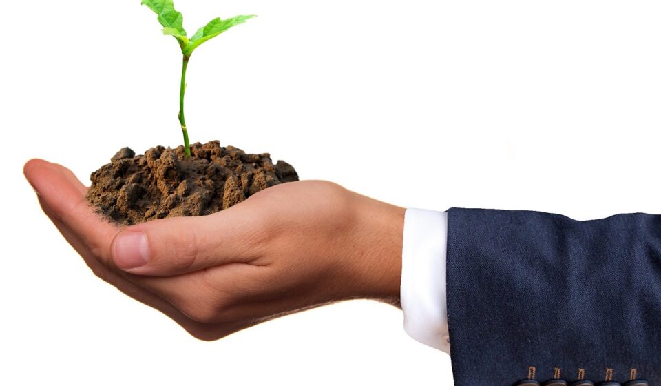 germ, plant, seedling, life, nature, earth, mother earth, mother bottom, human, hand, green, developing germs, sprout, young, grow, cotyledons, healthy, drive out, germinate, seeds, growth, man and nature, agriculture, bio, vegan, vegetarian, sowing, scion, fresher shoot, natural reserve, nourishment, hope, climate protection, hunger, famine, hand stop, protection, rearing, farmers, drove, leaves, garden, cultivation, line, harmony, business, men's suit, seedling, seedling, seedling, earth, earth, sprout, sprout, sprout, grow, grow, hope, hope, hope, hope, hope