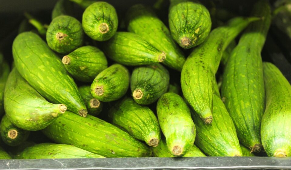 dodka, grocery, store, retail, supermarket, market, shop, food, customer, shopping, purchase, woman, buy, sale, consumer, mall, shelf, shopper, buying, green shopping, green shop, green grocery, green sales, green groceries, green market, dodka, dodka, dodka, dodka, dodka