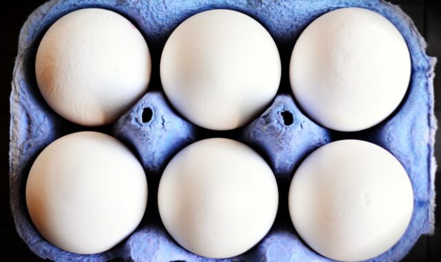 eggs, egg carton, white eggs, hen's egg, food, egg box, nourishment, egg packaging, carton, pack, eggs, egg carton, egg carton, egg carton, egg carton, egg carton, white eggs, white eggs, carton