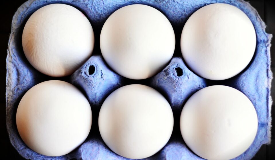 eggs, egg carton, white eggs, hen's egg, food, egg box, nourishment, egg packaging, carton, pack, eggs, egg carton, egg carton, egg carton, egg carton, egg carton, white eggs, white eggs, carton