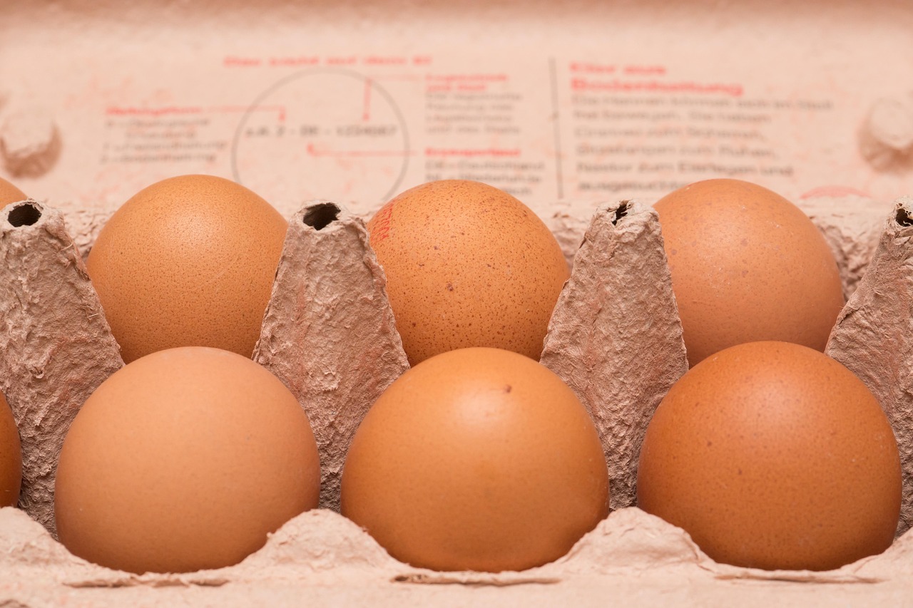 eggs, hen's egg, bio, food, nourishment, meal, healthy, cook, yummy, fresh, packaging, soccer