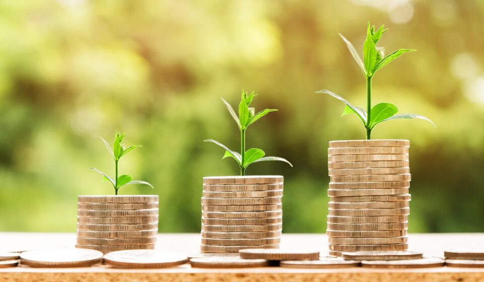 money, profit, finance, business, return, yield, financial, cash, currency, investment, banking, wealth, coin, economy, success, loan, salary, rich, credit, payment, savings, save, deposit, growth, income
