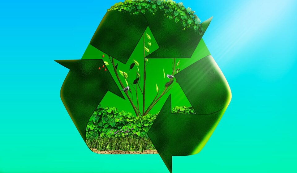 recycled, eco system, trees, flower wallpaper, flower background, birds, flowers, vines, grass, dirt, sand, nature, butterflies, earth, beautiful flowers, environment
