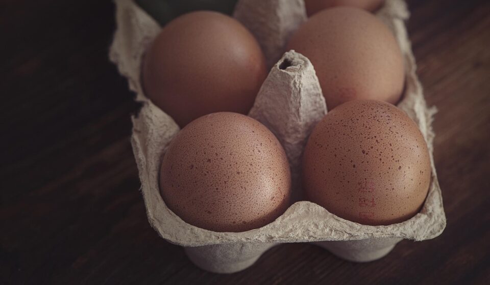 eggs, chicken eggs, egg box, brown eggs, raw eggs, egg packaging, food, close up