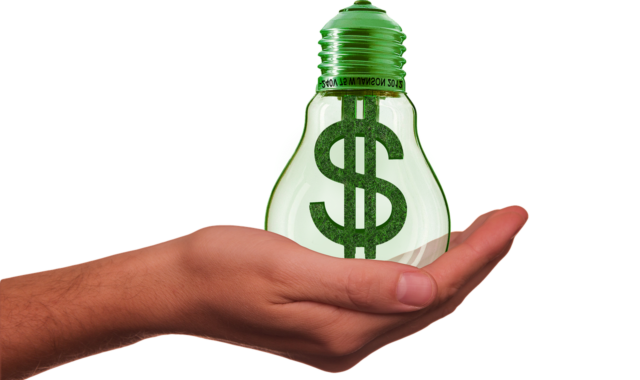 hand, keep, lightbulb, dollar, character, currency, finance, abstract, energy, environment, nature, environmental protection, renewable, healthy, health, green, protection, to protect, sustainability, sustainability, sustainability, sustainability, sustainability, sustainability