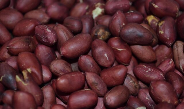 peanut, nut, nutrition, nuts, snack, healthy, fresh, delicious, diets, proteins, food, raw material, seeds, peanut, peanut, peanut, peanut, peanut