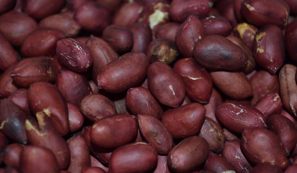 peanut, nut, nutrition, nuts, snack, healthy, fresh, delicious, diets, proteins, food, raw material, seeds, peanut, peanut, peanut, peanut, peanut