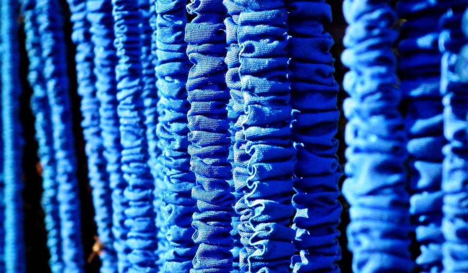 snake, nature, water, pressure, flexible, blue