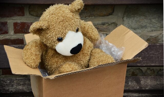 package, parcel, packaging, to ship, send, cardboard box, carton, shipment, teddy bear, teddy, stuffed animal, little bear, parcel, parcel, packaging, cardboard box, cardboard box, cardboard box, cardboard box, cardboard box, carton, carton, carton, shipment, shipment