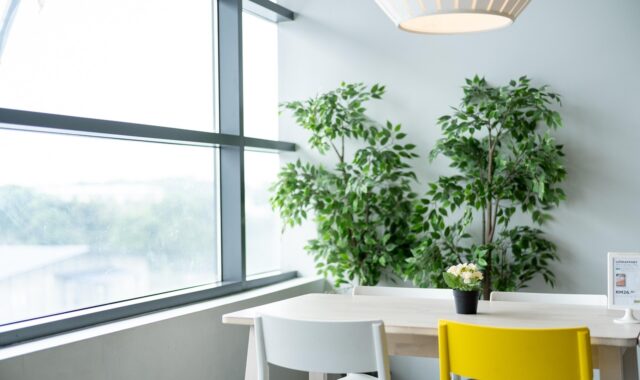ikea, table, dining, chair, nature, lamp, plant, natural, lifestyle, life, live, living, room, restaurant, simple, white