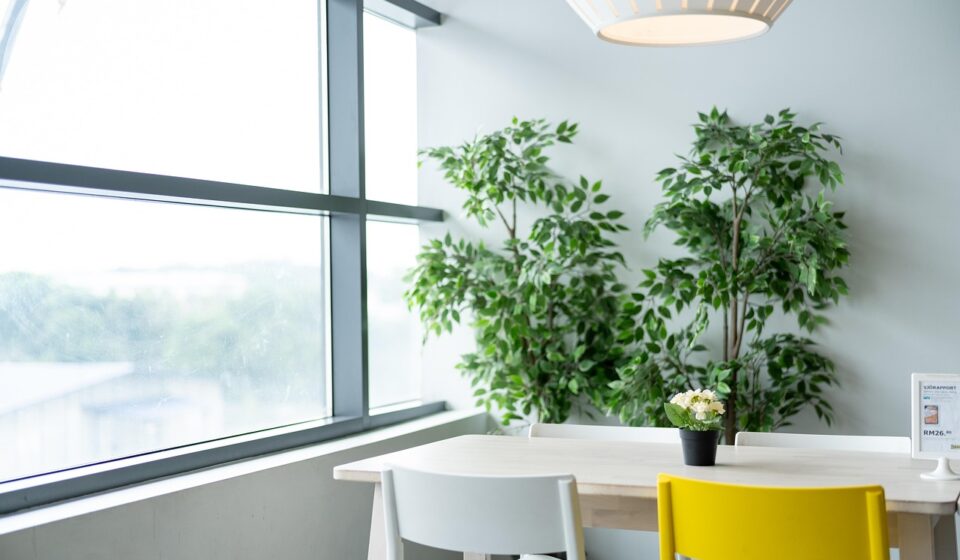 ikea, table, dining, chair, nature, lamp, plant, natural, lifestyle, life, live, living, room, restaurant, simple, white