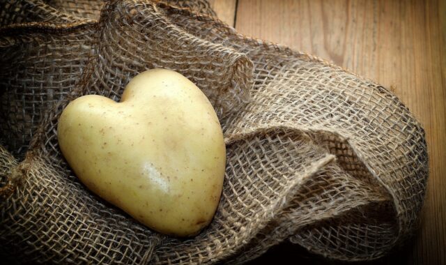 potato, heart, material, wood, vegetables, meal, nourishment, love, food, harvest, bio, nature, symbol, fresh, heart shape, potato heart, heart-shaped, uncooked, potato, potato, potato, potato, potato