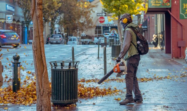 fall, blowing street, leaves, blower, street, nature, morning, trees, stores, alone, backpack