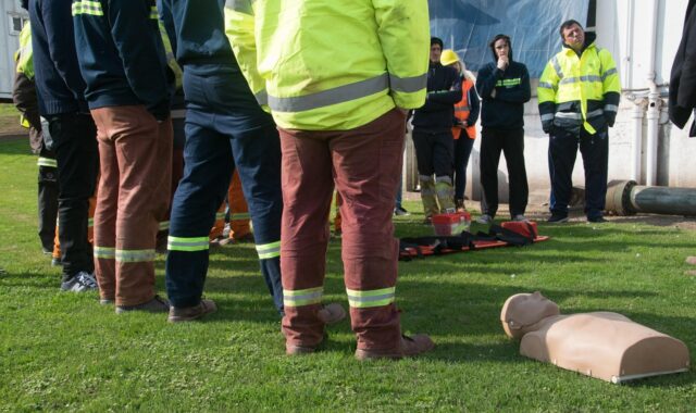 first aid training, rescue, cpr, training, cpr dummy, group, people, cpr, cpr, cpr, cpr, cpr