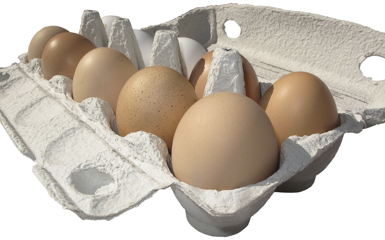 eggs, hen's egg, egg carton, lots of eggs, egg packaging, brown eggs, white eggs, natural product, market, market stall, producer, farm shop, agriculture, carton, raw egg, brown egg, white egg, nourishment, food, farmers local market, supermarket, discounter, self-marketers, self-marketing, isolated, eggs, eggs, egg carton, egg carton, egg carton, egg carton, egg carton, supermarket