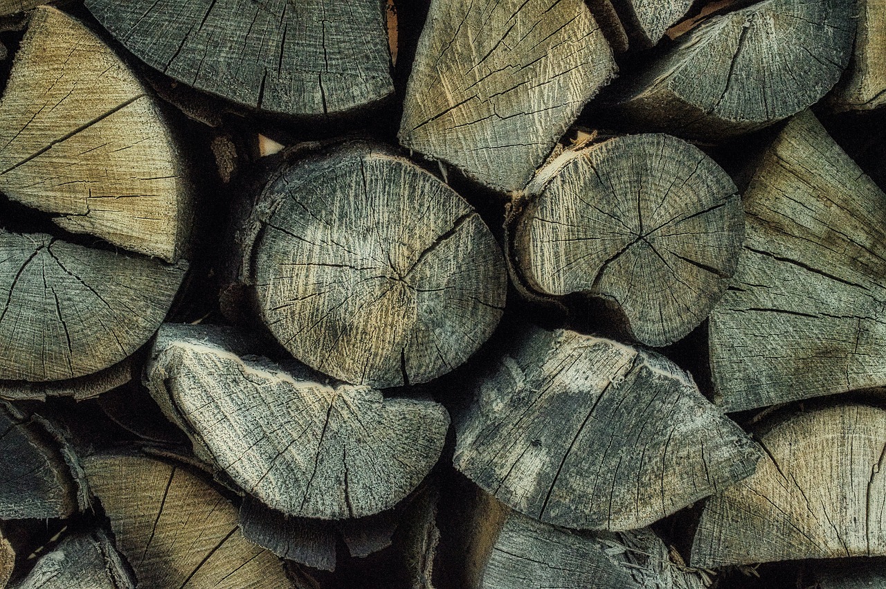 drink, logs, stére, heater, log, lumberjack, saw