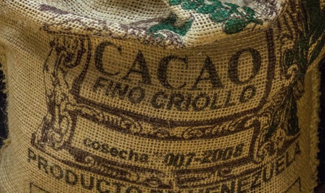 cocoa, bag, chocolate, beans, venezuela, sweets, candy, brown candy, brown chocolate, cocoa, venezuela, venezuela, venezuela, venezuela, venezuela