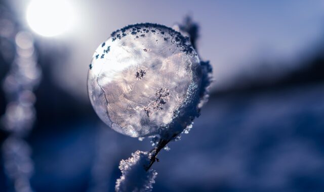 soap bubble, frozen, frozen soap bubble, winter, ice crystals, wintry, cold, snow, bullet, frost bubble, nature, frost, bubble, ice cream, ice bubble, frost ball, crystalline, crystals, freeze, winter magic, spherical shape, magic, ice flowers, spherical, crystal growth, the winter's tale, icy