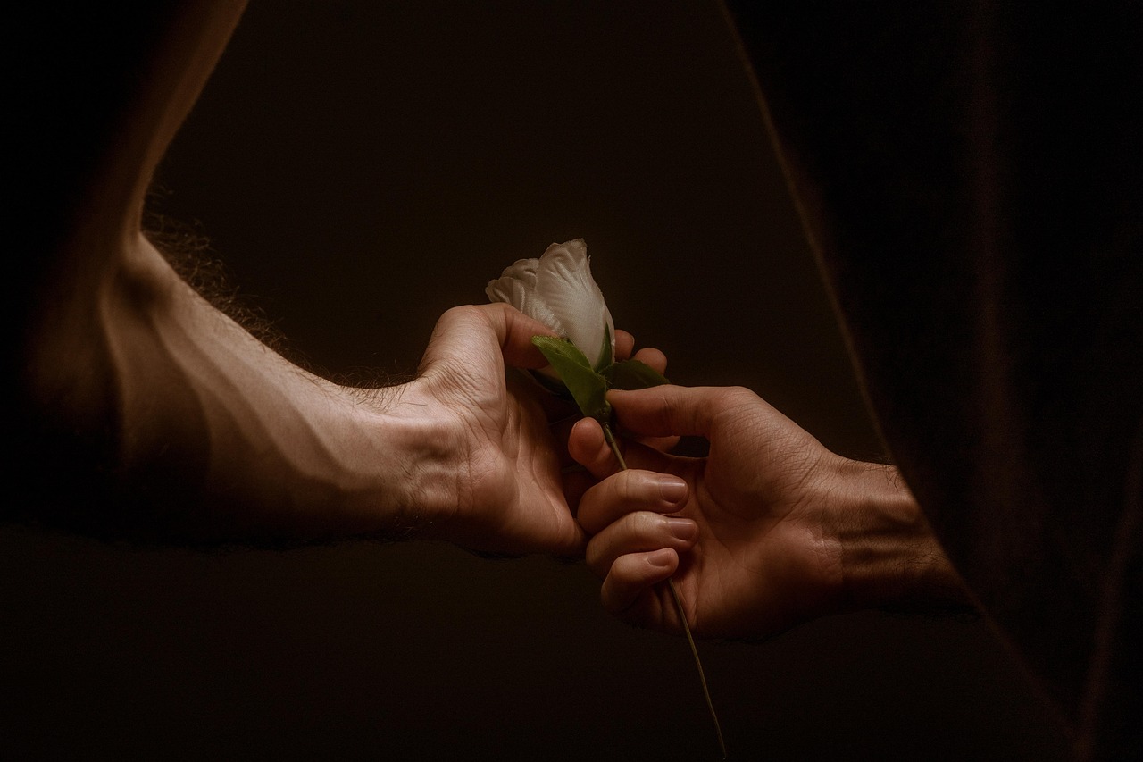 hands, love, rose, flower wallpaper, together, couple, lovers, romantic, rose flower, romance, nature, affection, beautiful flowers, flower, touch, passion, dark, flower background, happyvalentine's